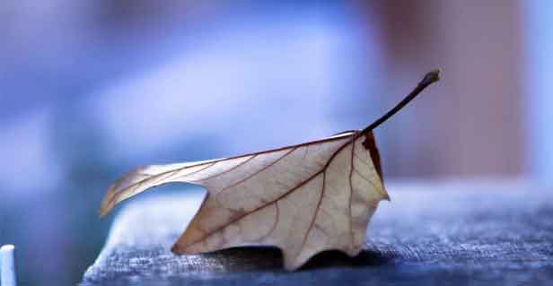 白襯衫白衣服穿久了發(fā)黃？這3個家常方法讓它重新發(fā)亮